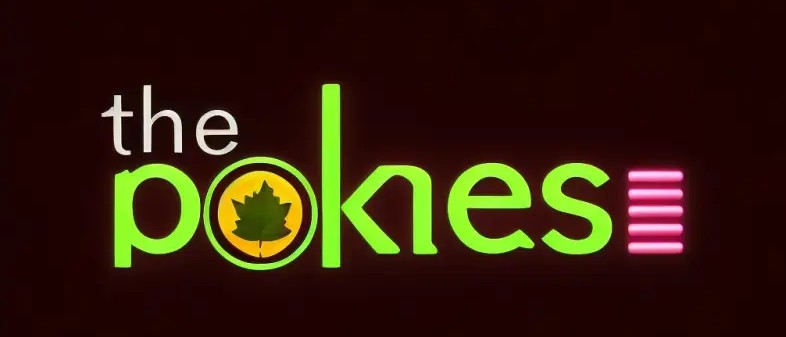 The Ultimate Guide to Online Gaming at thepokies net 18