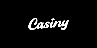 Exploring the Features of Casiny Login Exploring the Features of Casiny Login